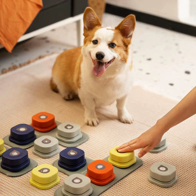 Paws Training