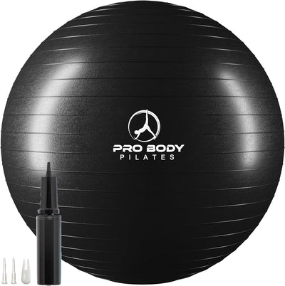 Gym-Grade Exercise Ball