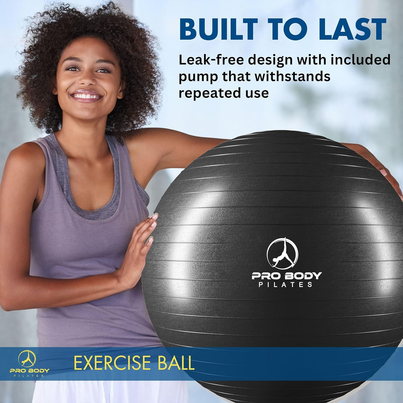 Gym-Grade Exercise Ball