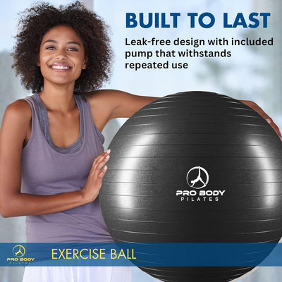 Gym-Grade Exercise Ball