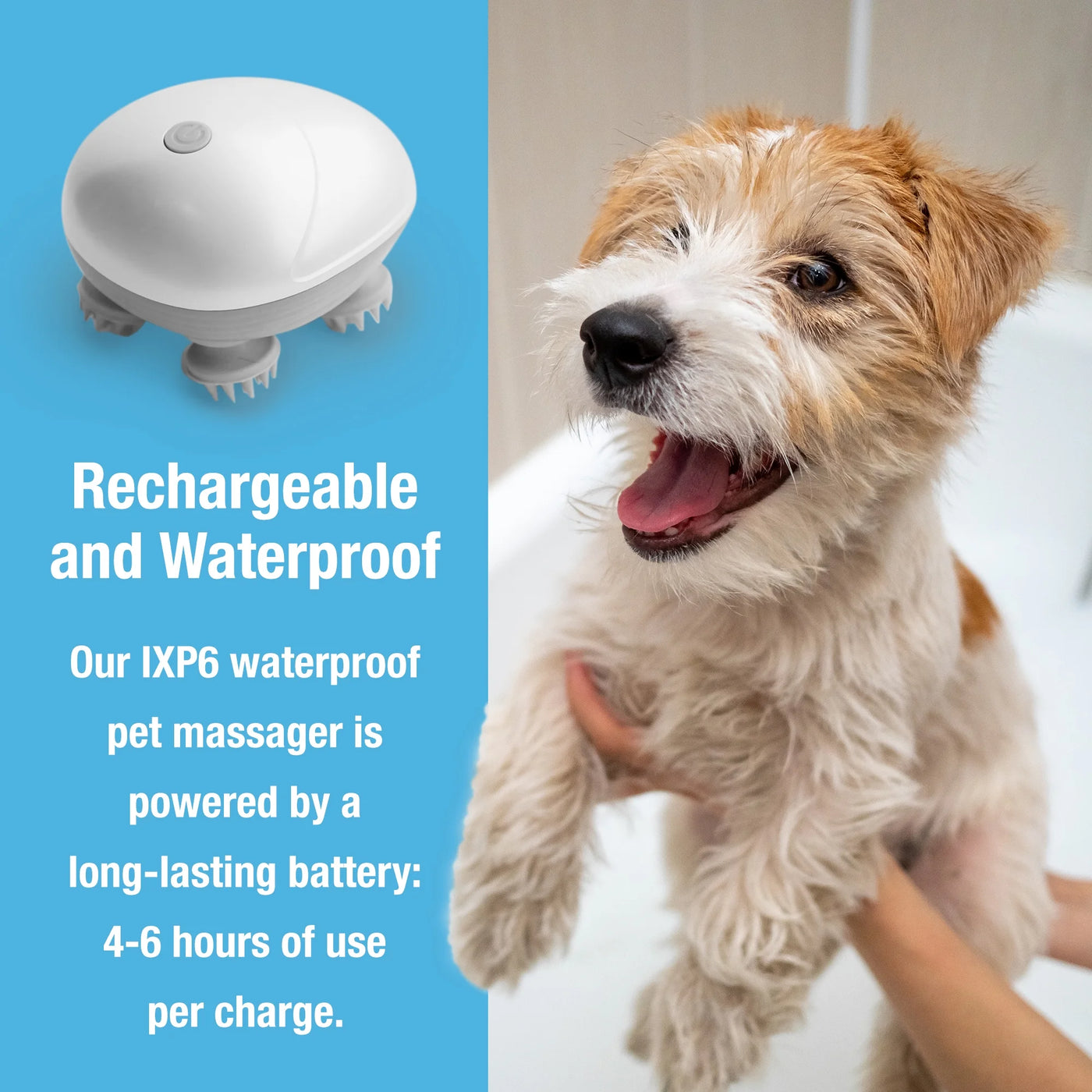 Pet Massager for Dogs And Cats