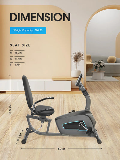 Recumbent Exercise Bike