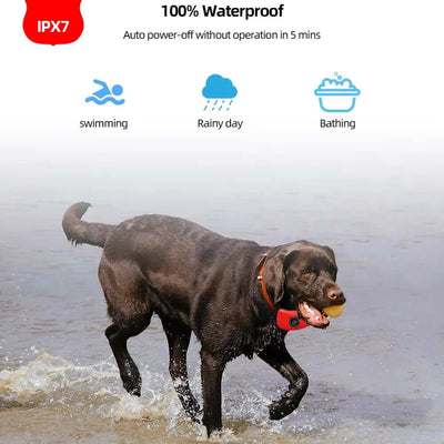 1000Ft Range Dog Training Collar Waterproof Electric Shock Vibration Sound Dogs Bark Collar for Small Medium Large Dogs Trainer
