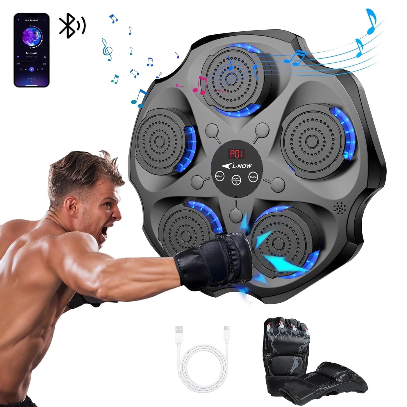 Wall-Mounted Music Boxing Trainer