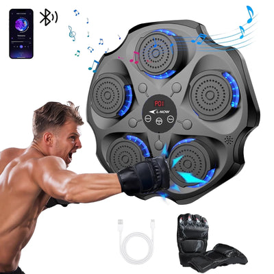 Wall-Mounted Music Boxing Trainer
