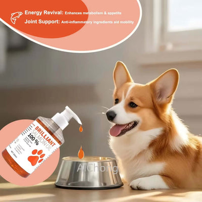 Human-Grade Salmon Oil for Dogs & Cats Omega 3 Fatty Acids Supplement (500Ml, 300Ml, 200Ml 100Ml) for Optimal Health & Nutrition