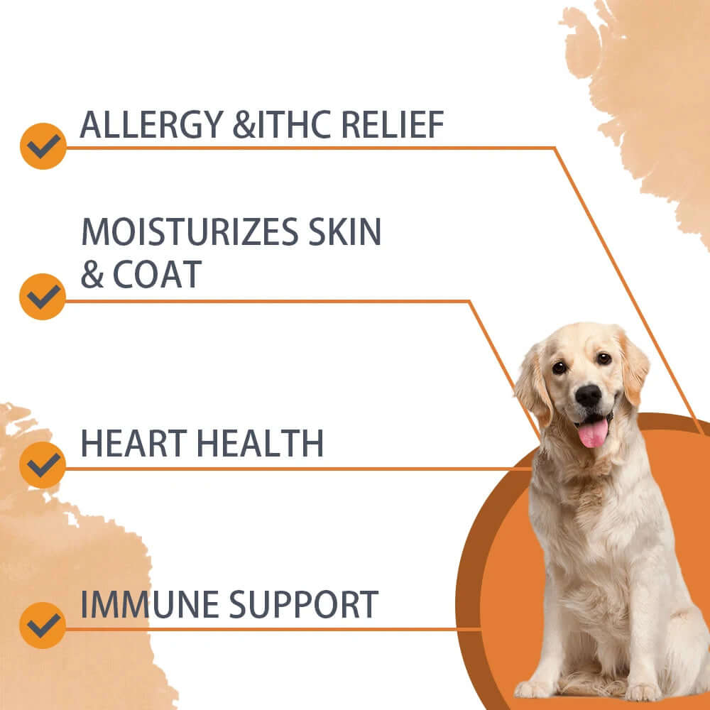 30 Soft Chews Skin & Coat Supplement for Dogs with Omega 3, 9 & Vitamin E for Fur Health Support（Beef Flavor）