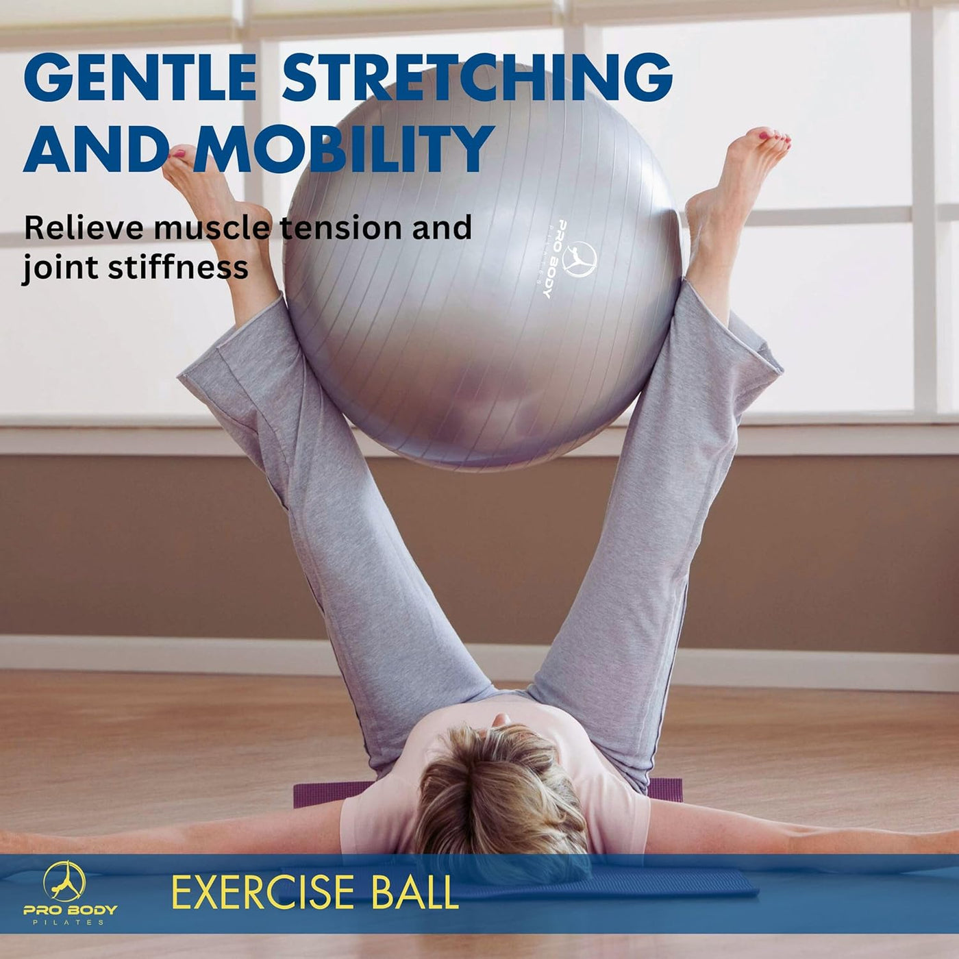 Gym-Grade Exercise Ball
