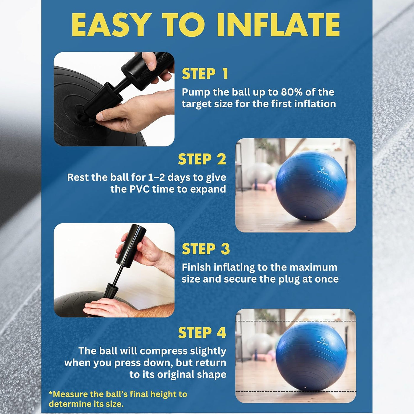 Gym-Grade Exercise Ball