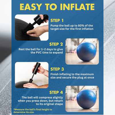 Gym-Grade Exercise Ball