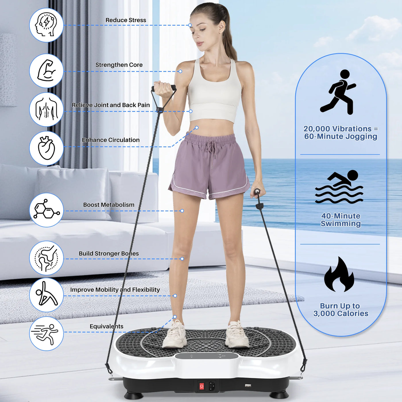 Whole Body Vibration Plate