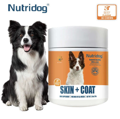 30 Soft Chews Skin & Coat Supplement for Dogs with Omega 3, 9 & Vitamin E for Fur Health Support（Beef Flavor）
