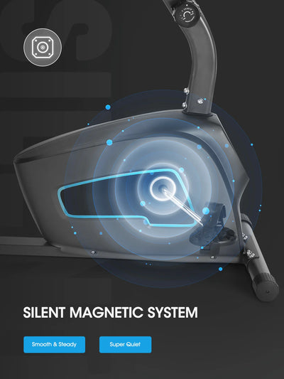 Recumbent Exercise Bike